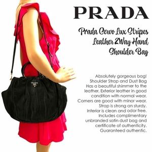 Prada Cervo Lux Stripes Leather 2Way Hand Shoulder Bag